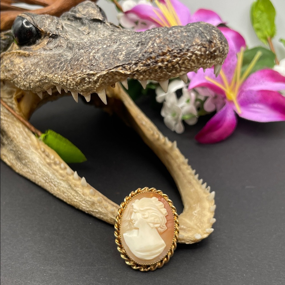 Catamore 1/20 12k GF shell cameo brooch vintage